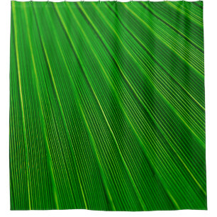 Leaf plant background palm green shower curtain