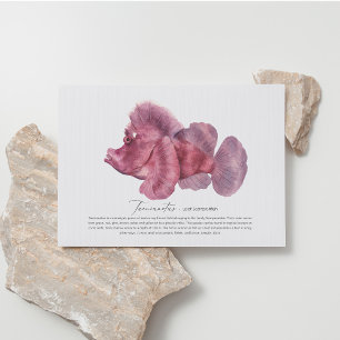 Leaf Scorpion Fish Postcard