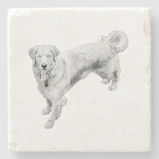 Leaf-Season Sentinel Stone Coaster (Front)