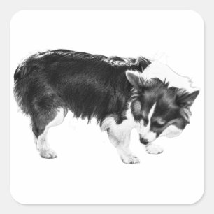 Leaf-Shadow Nosework Square Sticker