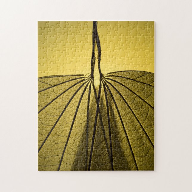 Leaf Skeleton Jigsaw Puzzle (Vertical)