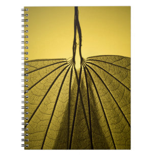 Leaf Skeleton Notebook