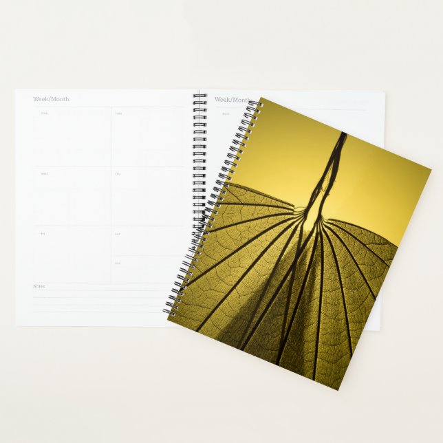 Leaf Skeleton Planner (Display)