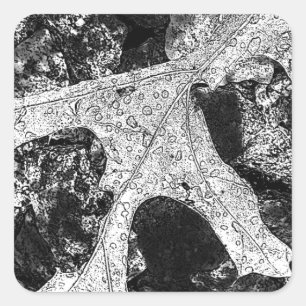 Leaf Sketch Drawing Square Sticker