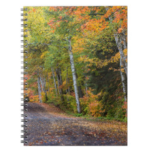 Leaf Strewn Gravel Road With Autumn Colour Notebook