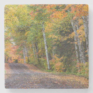 Leaf Strewn Gravel Road With Autumn Colour Stone Coaster