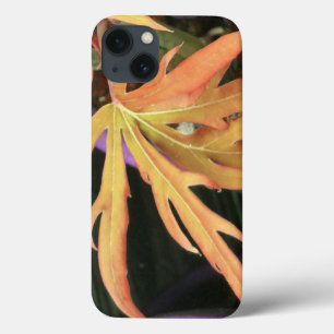 Leaf Study 2 iPhone 13 Case