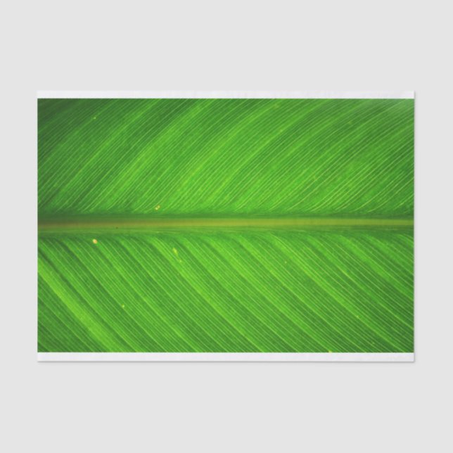 Leaf Tissue Paper (Front)