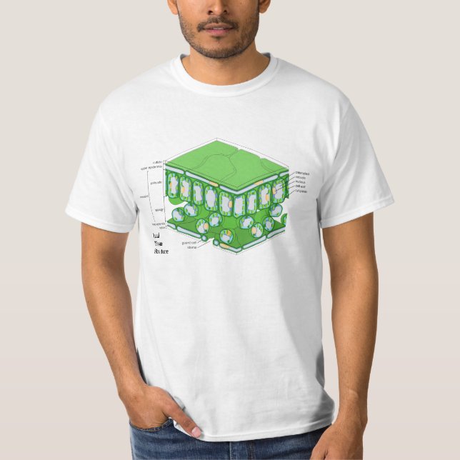 Leaf Tissue Structure Diagram T-Shirt (Front)