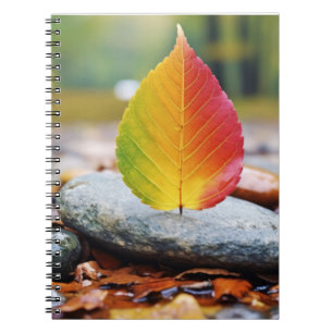 Leaf Tranquil Peaceful Nature Serene Notebook