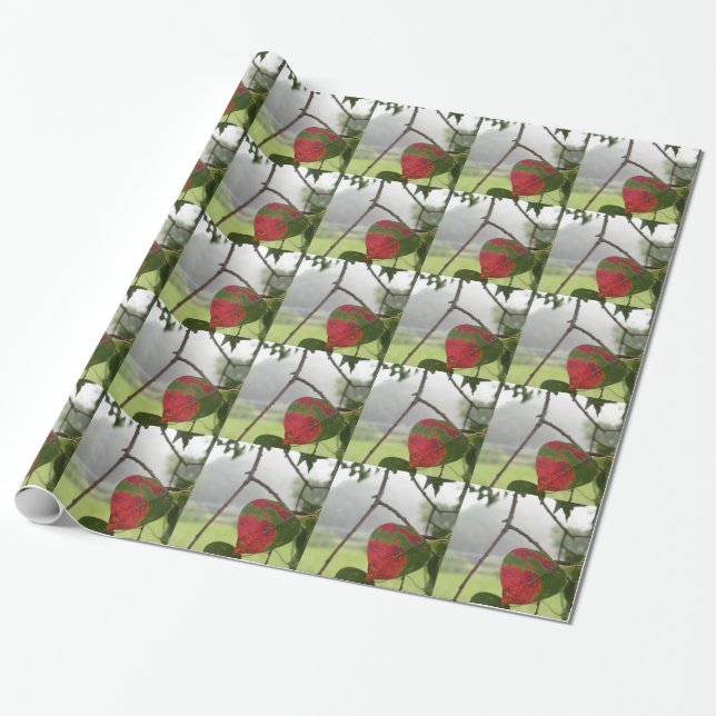 leaf turning red Fall in Florida Wrapping Paper (Unrolled)