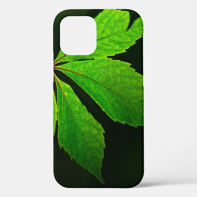Leaf vein pattern texture plant Case-Mate iPhone case (Back)