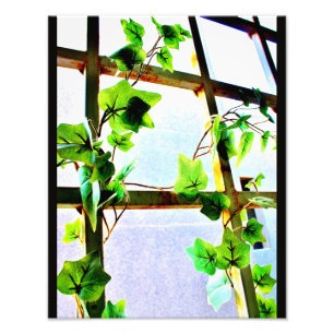 Leaf View Photo Print