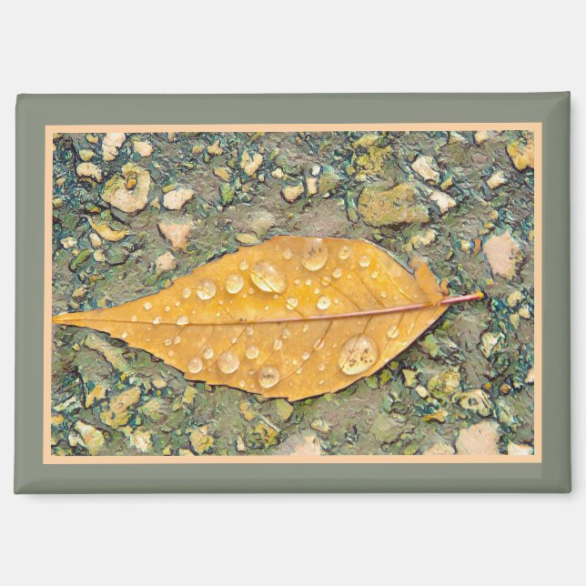 LEAF WITH RAINDROPS Magnet (Front)