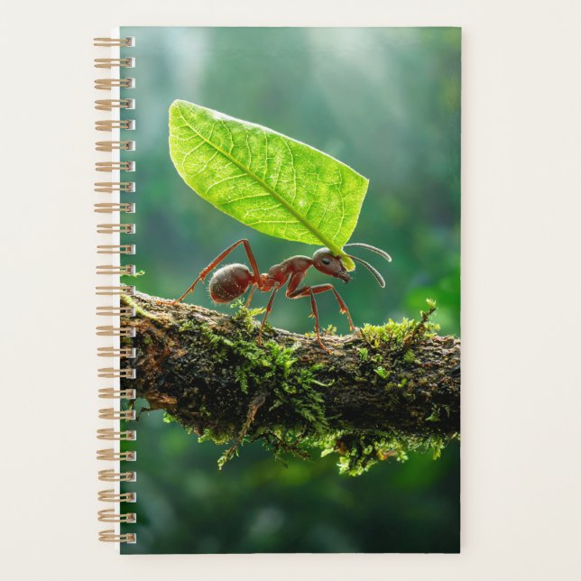 Leafcutter Ant 2027 Planner (Front)