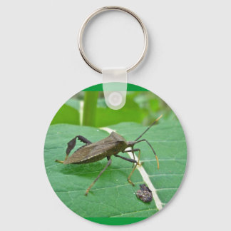 Leaffooted Bug (Acanthocephala fenorata) Items Key Ring