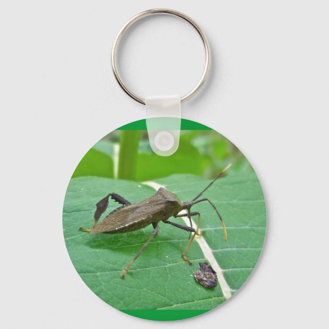 Leaffooted Bug (Acanthocephala fenorata) Items Key Ring (Front)