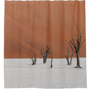 LEAFLESS TREE ON WHITE SNOW COVERED GROUND DURING SHOWER CURTAIN