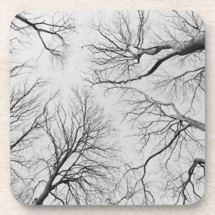 Leafless Trees in Thiepval Wood Coaster