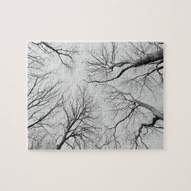 Leafless Trees in Thiepval Wood Jigsaw Puzzle (Horizontal)