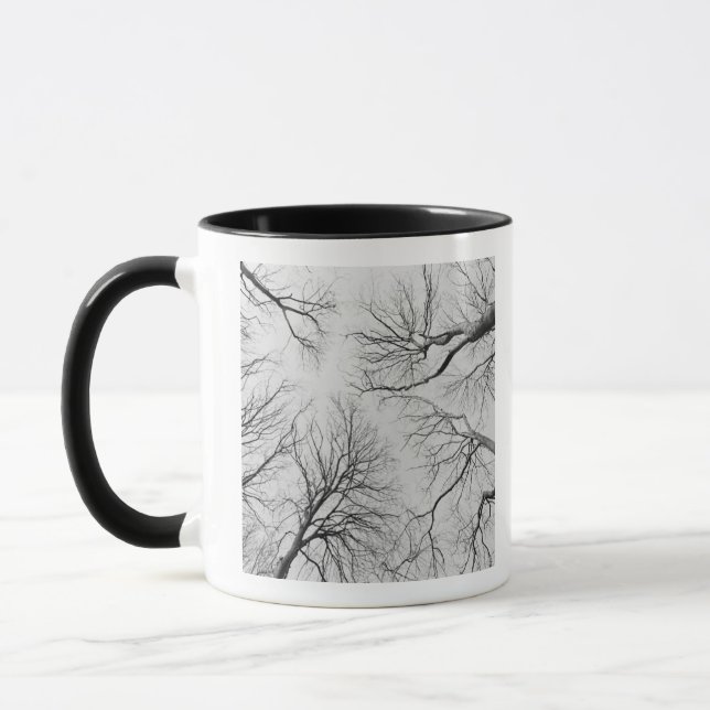 Leafless Trees in Thiepval Wood Mug (Left)