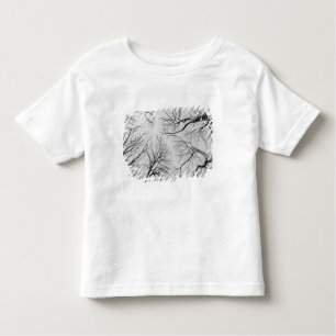Leafless Trees in Thiepval Wood Toddler T-Shirt