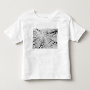Leafless Trees in Thiepval Wood Toddler T-Shirt