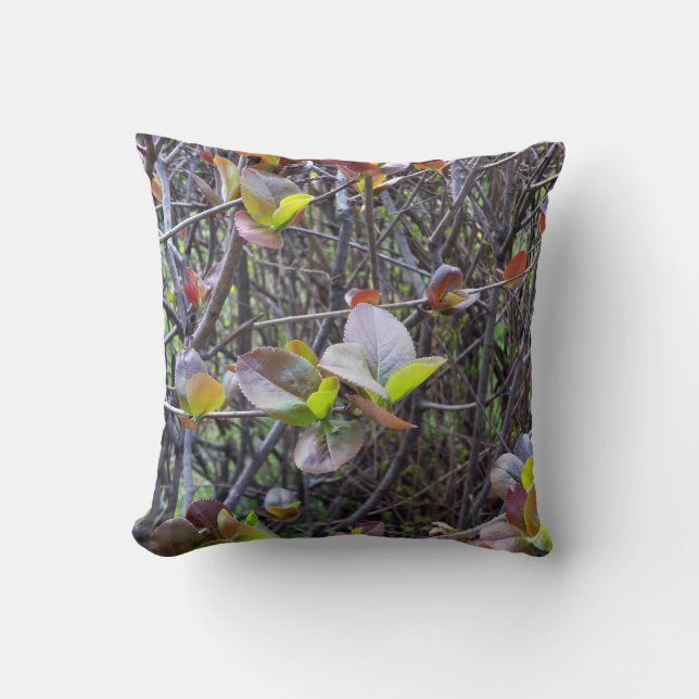 leaflets on twigs cushion (Front)