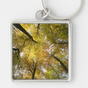 Leafy Canopy Key Ring