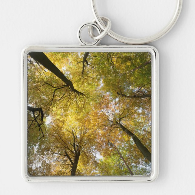 Leafy Canopy Key Ring (Front)