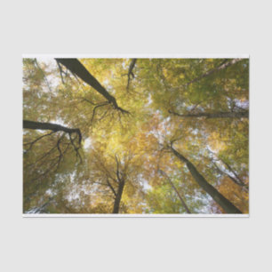 Leafy Canopy Tissue Paper