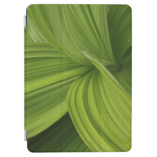 Leafy Green Magnetic "Smart Cover" iPad Cover