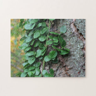 Leafy Green Vine Growing On Tree Nature  Jigsaw Puzzle