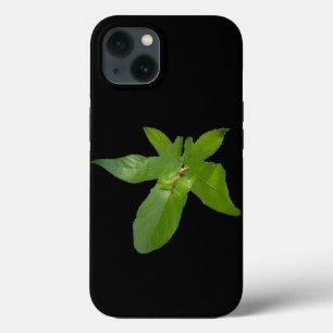 "Leafy Haven: A Small Green Frog on a Grape Leaf" iPhone 13 Case