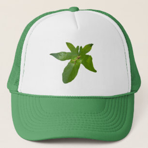 "Leafy Haven: A Small Green Frog on a Grape Leaf" Trucker Hat