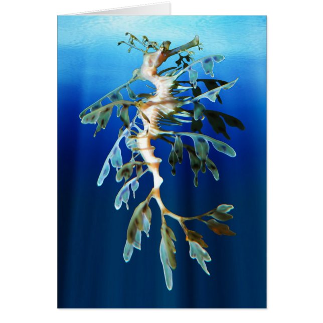 Leafy Sea Dragon Card (Front)