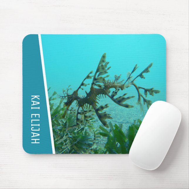 Leafy Sea Dragon Underwater Mouse Pad (With Mouse)