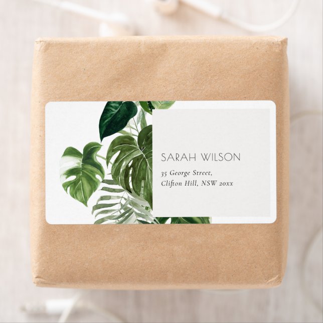 Leafy Tropical Palm Foliage Leafy Address (Insitu)