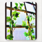 Leafy Window
