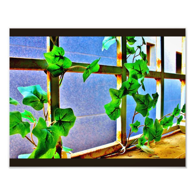 Leafy Window Photo Print (Front)