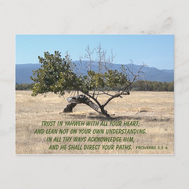 Lean Not on Your Own Understanding Postcard (Front)