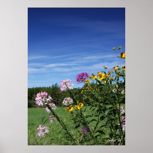 Leaning Flowers Poster (Front)