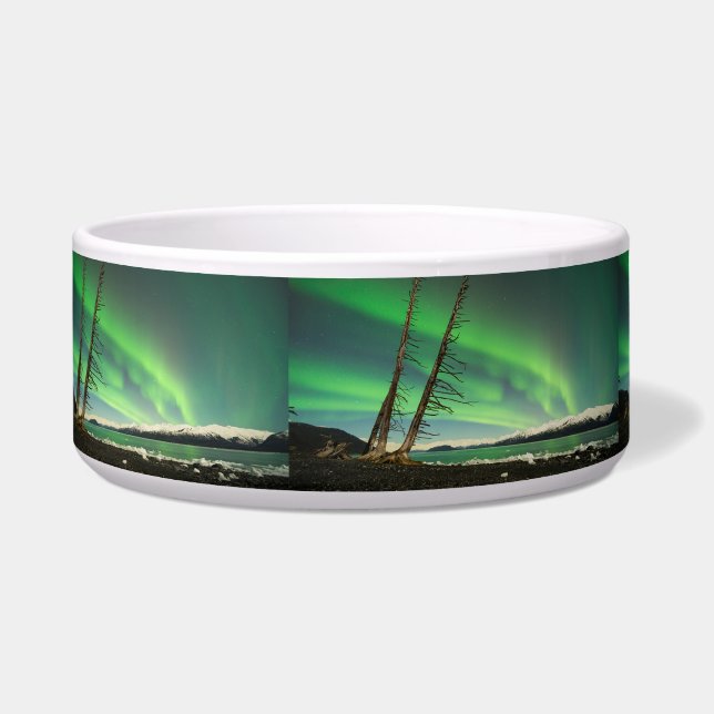 Leaning Tree Aurora (Left)