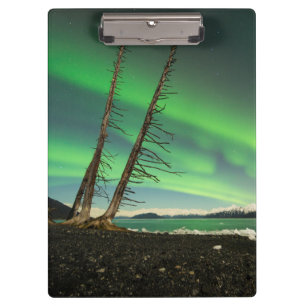 Leaning Tree Aurora Clipboard
