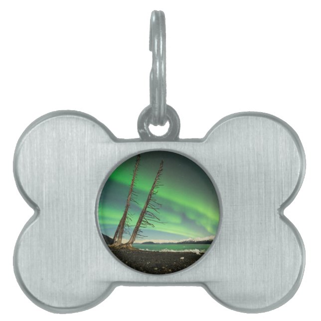 Leaning Tree Aurora Pet ID Tag (Front)