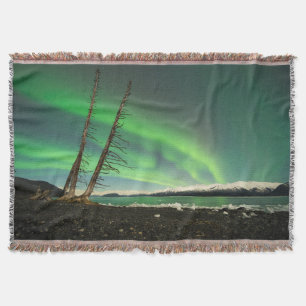 Leaning Tree Aurora Throw Blanket