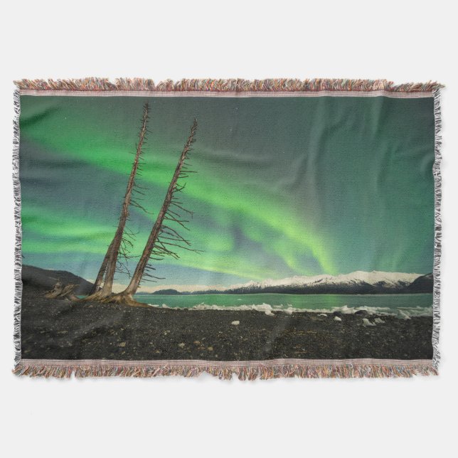 Leaning Tree Aurora Throw Blanket (Front)