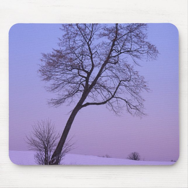 Leaning Tree in Snowy Field; Chippewa County; Mouse Pad (Front)