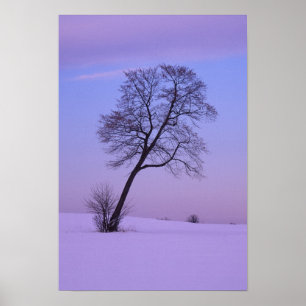 Leaning Tree in Snowy Field; Chippewa County; Poster