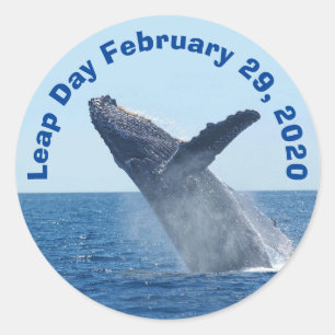 Leap Day February 29, 2020 Classic Round Sticker
